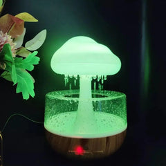 Rainy Cloud Humidifier